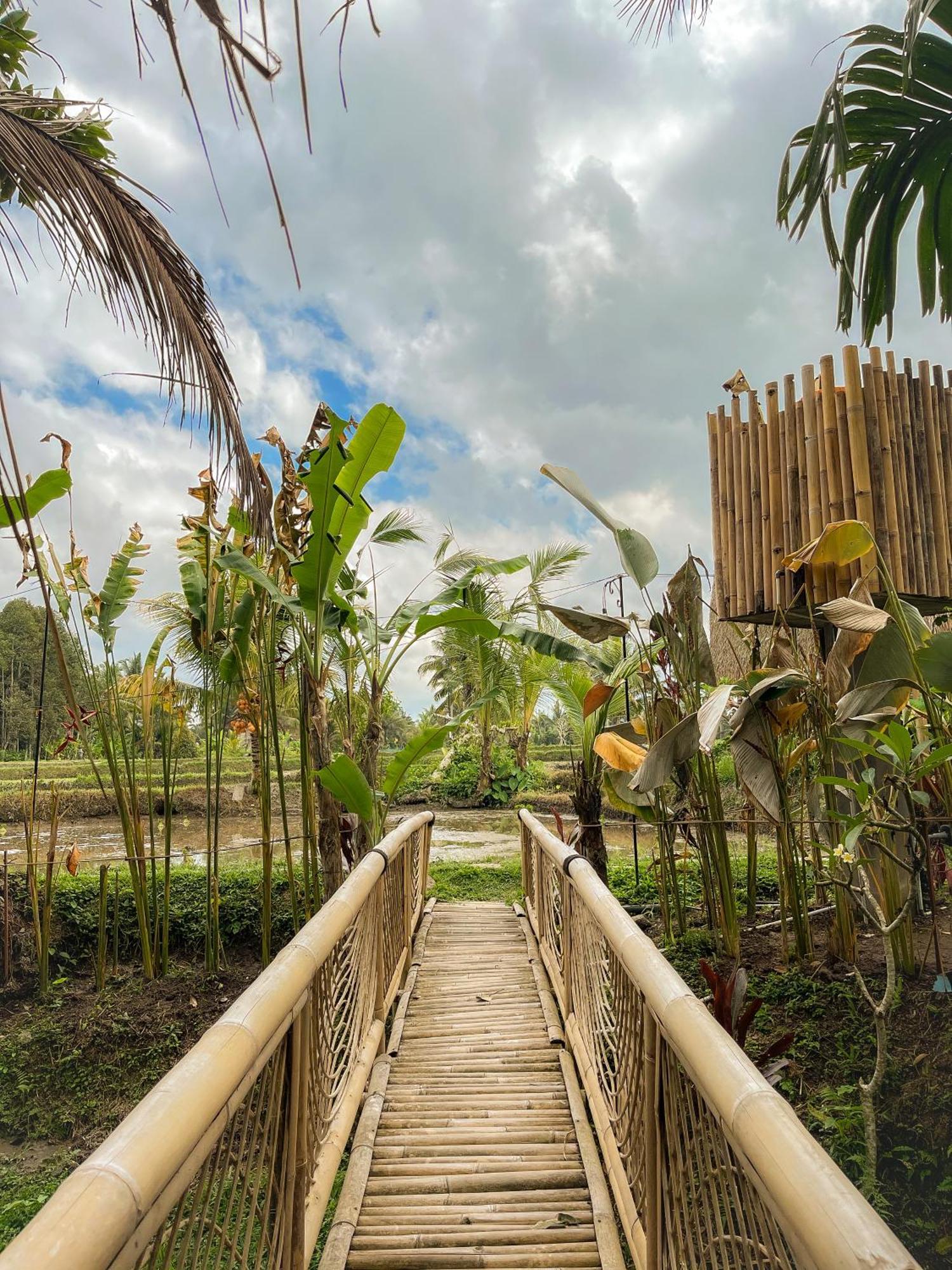 Kawig Bamboo House - Ricefield View, Eco Bamboo Home Tampaksiring Exterior foto