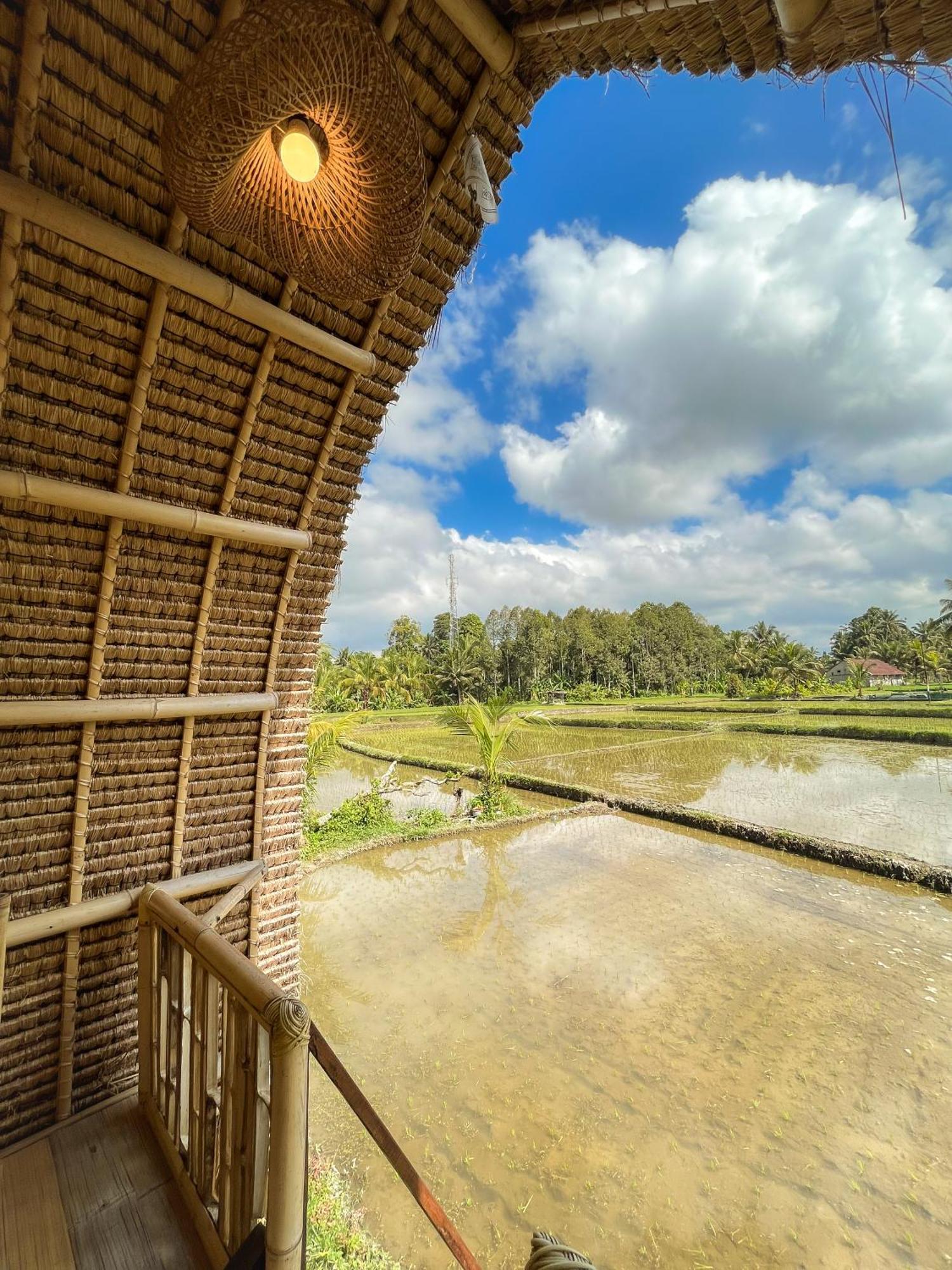 Kawig Bamboo House - Ricefield View, Eco Bamboo Home Tampaksiring Exterior foto