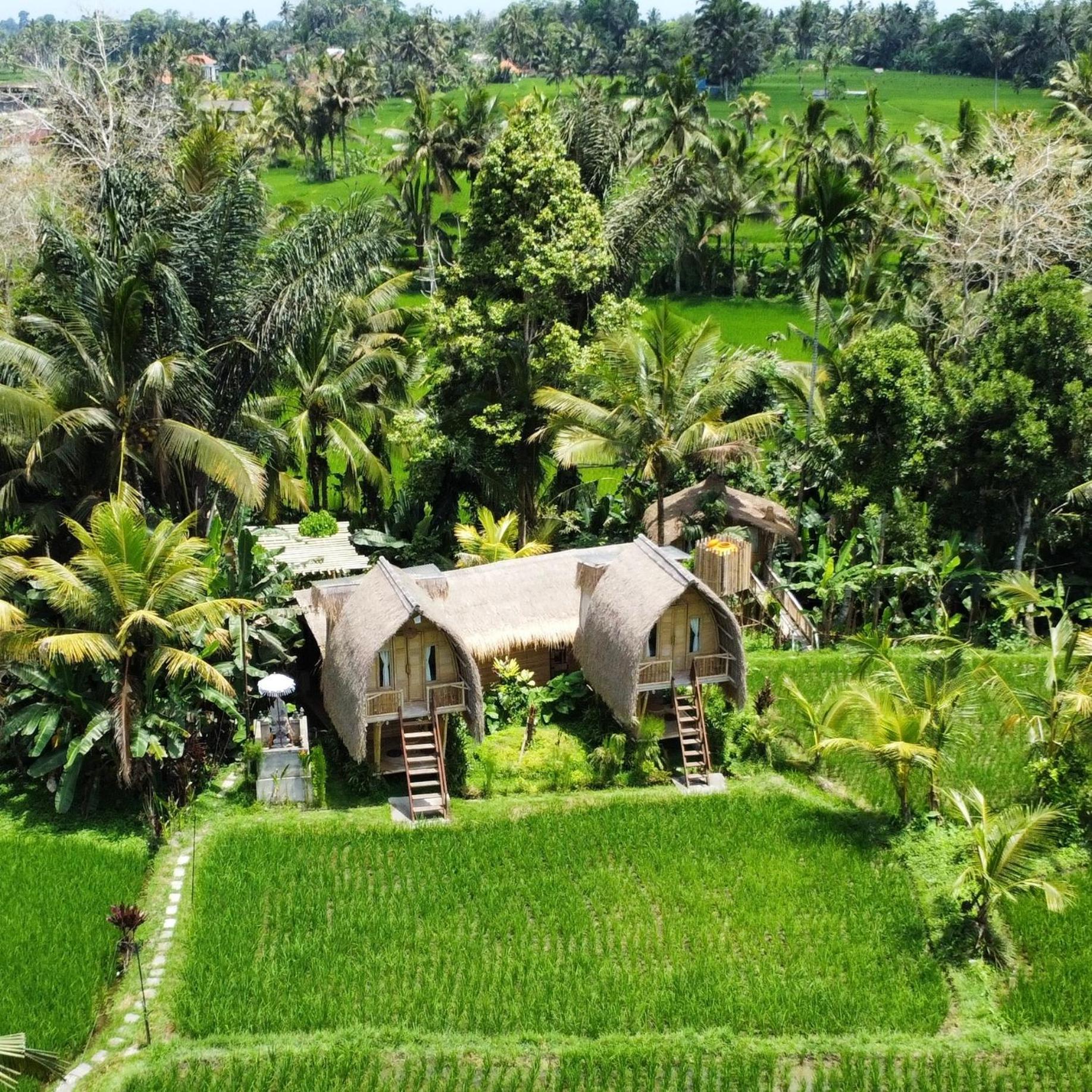 Kawig Bamboo House - Ricefield View, Eco Bamboo Home Tampaksiring Exterior foto