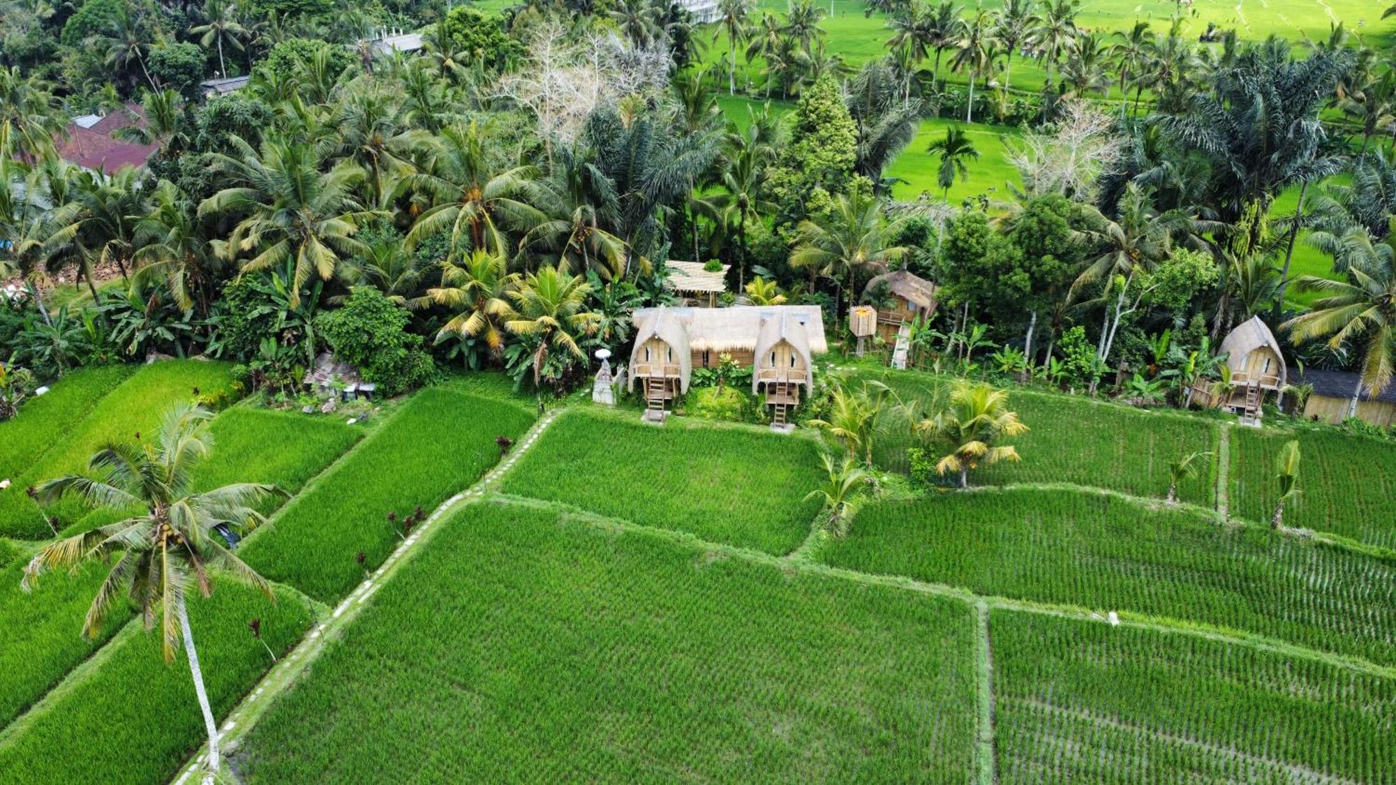 Kawig Bamboo House - Ricefield View, Eco Bamboo Home Tampaksiring Exterior foto